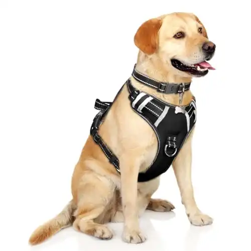 WINSEE Dog Harness No Pull