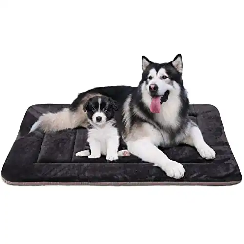 Hero Dog Dog Beds